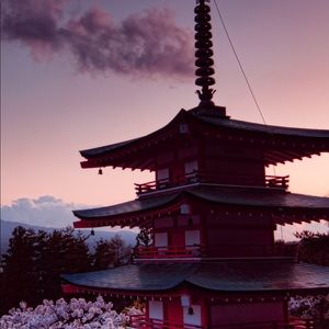 Meet your Posher, Bryant